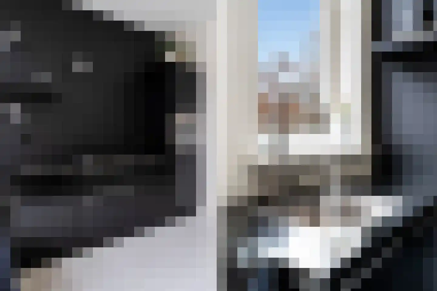 Burgemeester Meineszlaan 91 B Rotterdam thumbnail 29