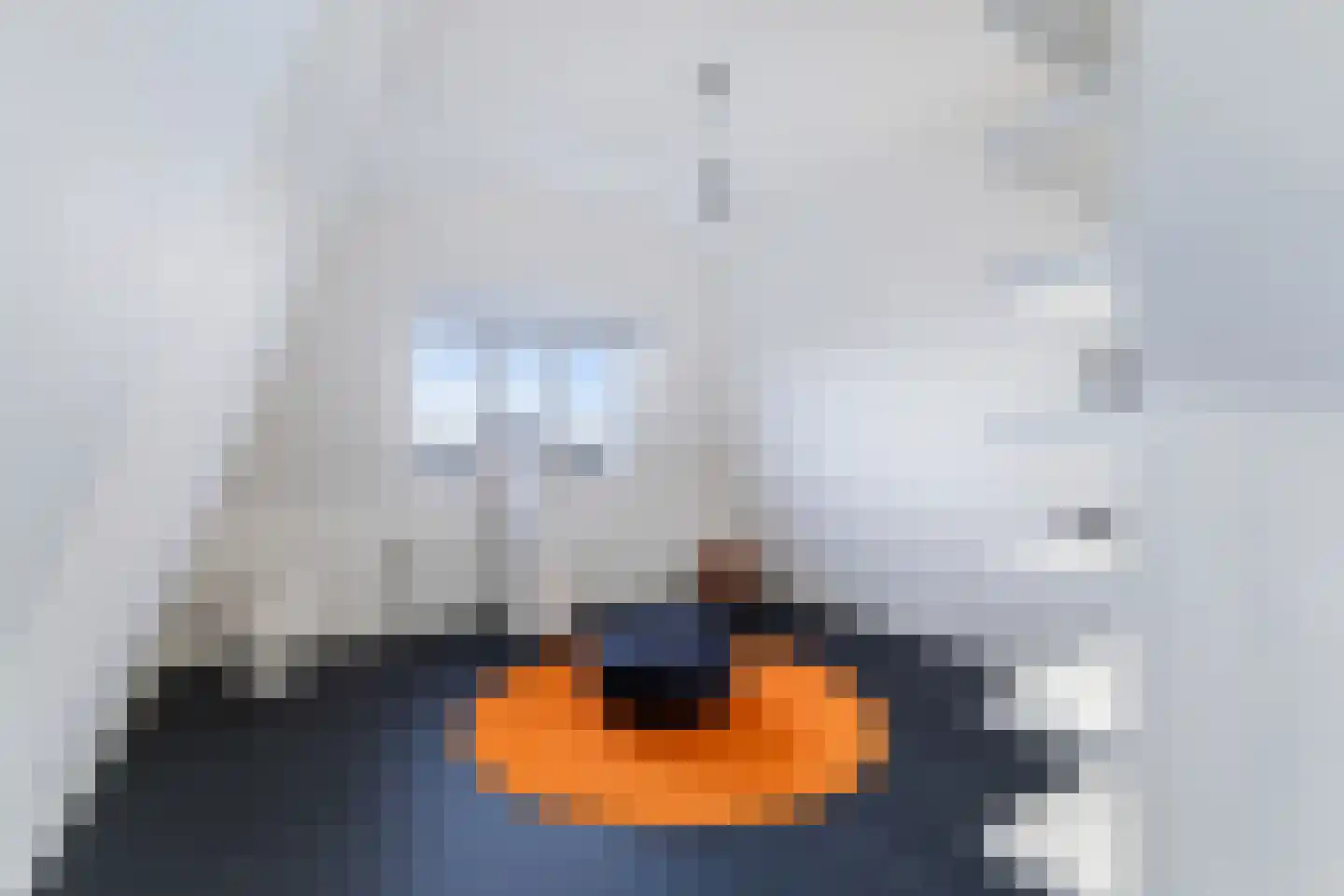 Burgemeester Meineszlaan 91 B Rotterdam thumbnail 38