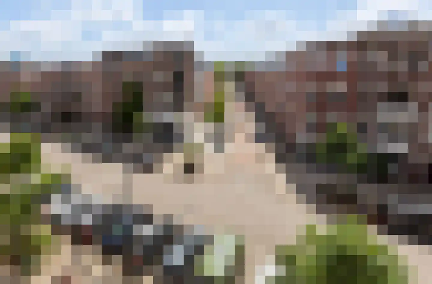 Burgemeester Meineszlaan 91 B Rotterdam thumbnail 4