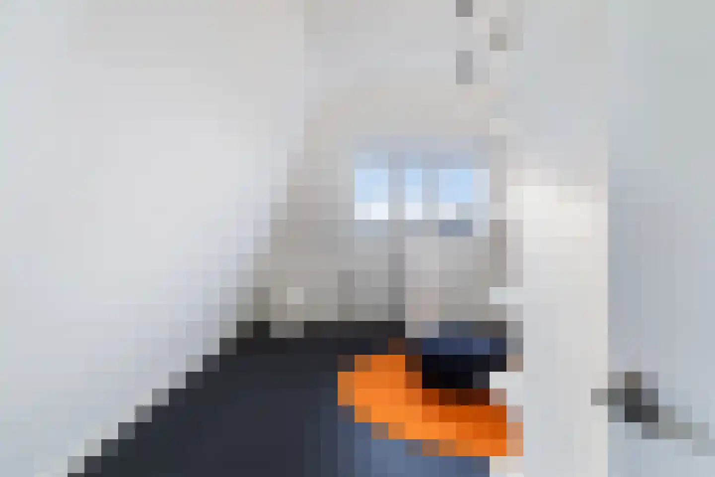Burgemeester Meineszlaan 91 B Rotterdam thumbnail 40