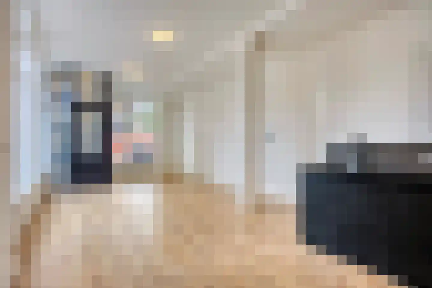 Burgemeester Meineszlaan 99 Rotterdam thumbnail 11