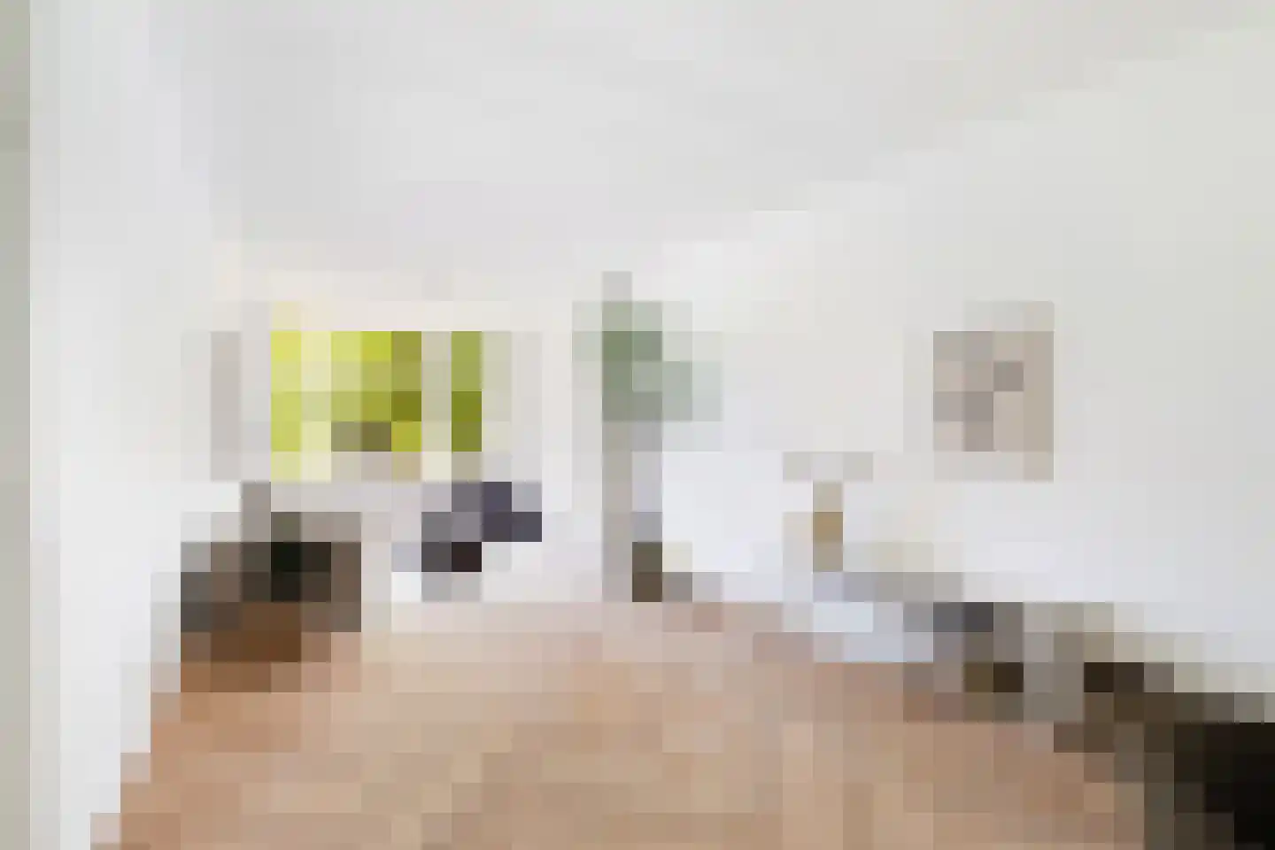 Burgemeester Meineszplein 21 B 01 Rotterdam thumbnail 5