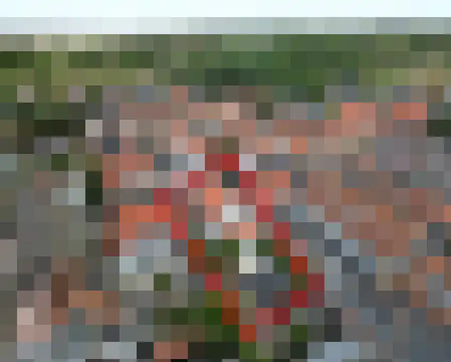 Burgemeester Mentzstraat 18 West-Terschelling thumbnail 43