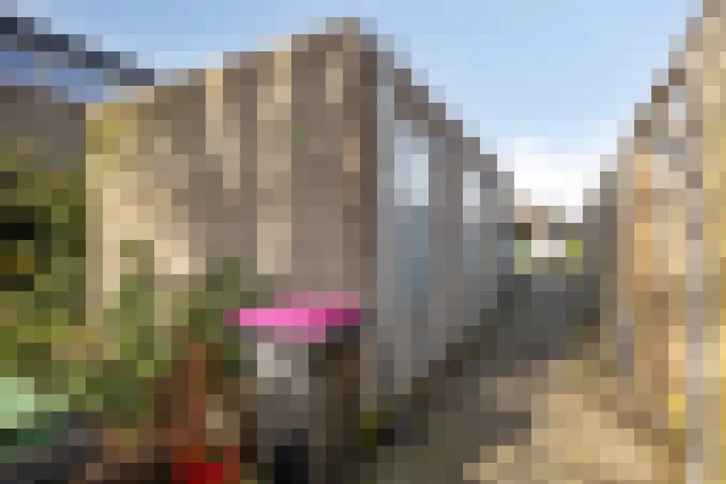 Burgemeester Merkusstraat 17 Delfgauw thumbnail 32