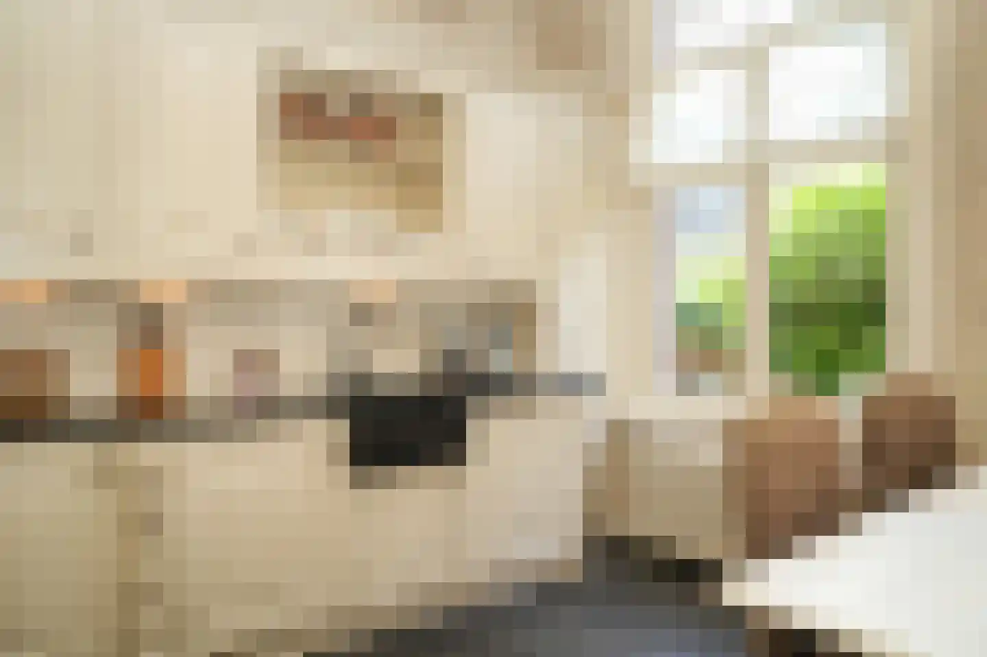Burgemeester Meslaan 1 Tiel thumbnail 19