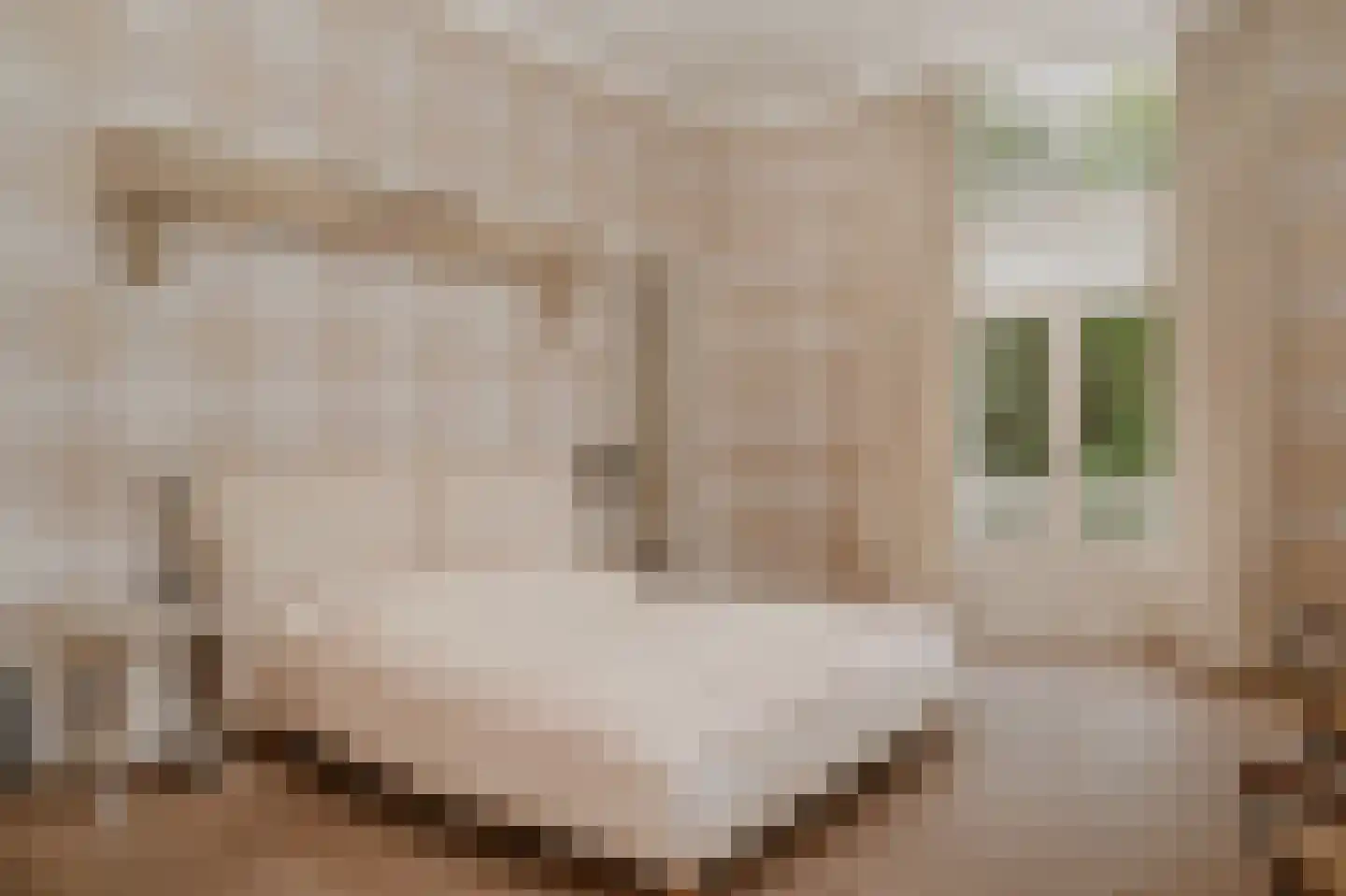 Burgemeester Meslaan 1 Tiel thumbnail 26