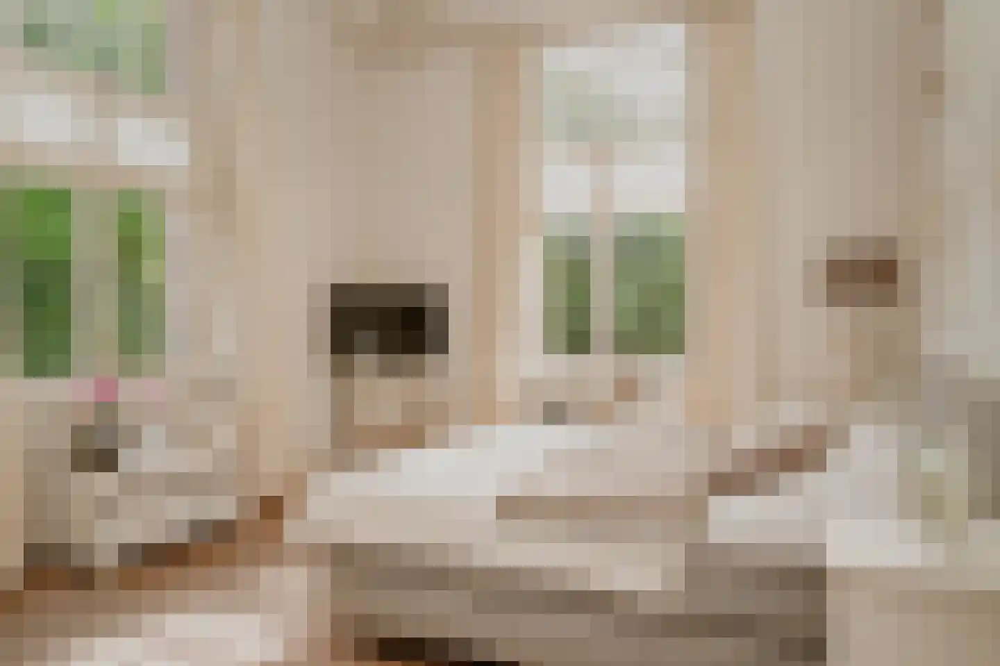 Burgemeester Meslaan 1 Tiel thumbnail 33