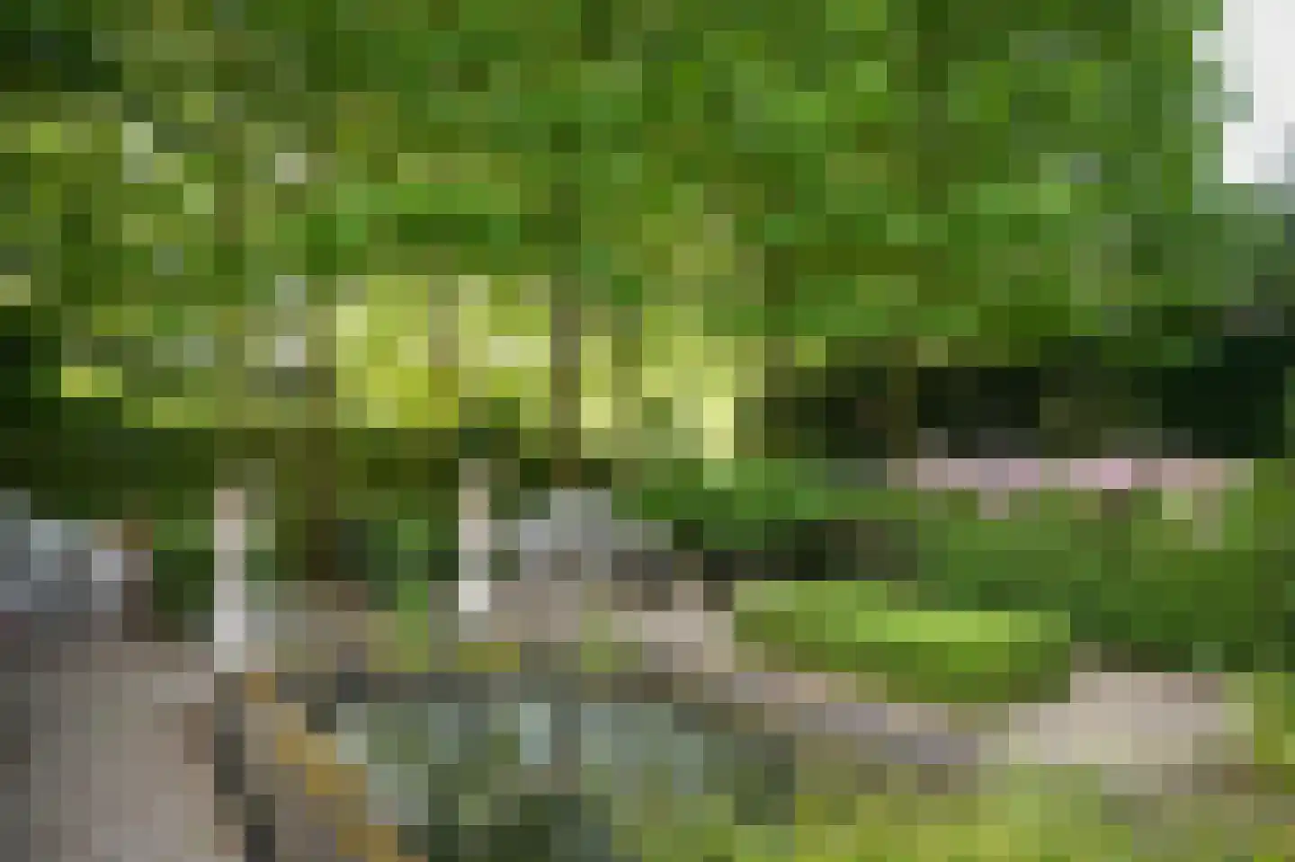 Burgemeester Meslaan 1 Tiel thumbnail 4