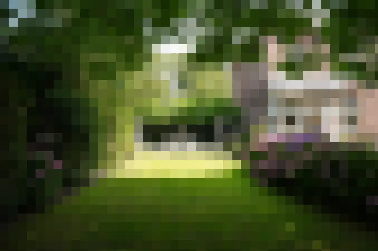 Burgemeester Meslaan 1 Tiel thumbnail 43