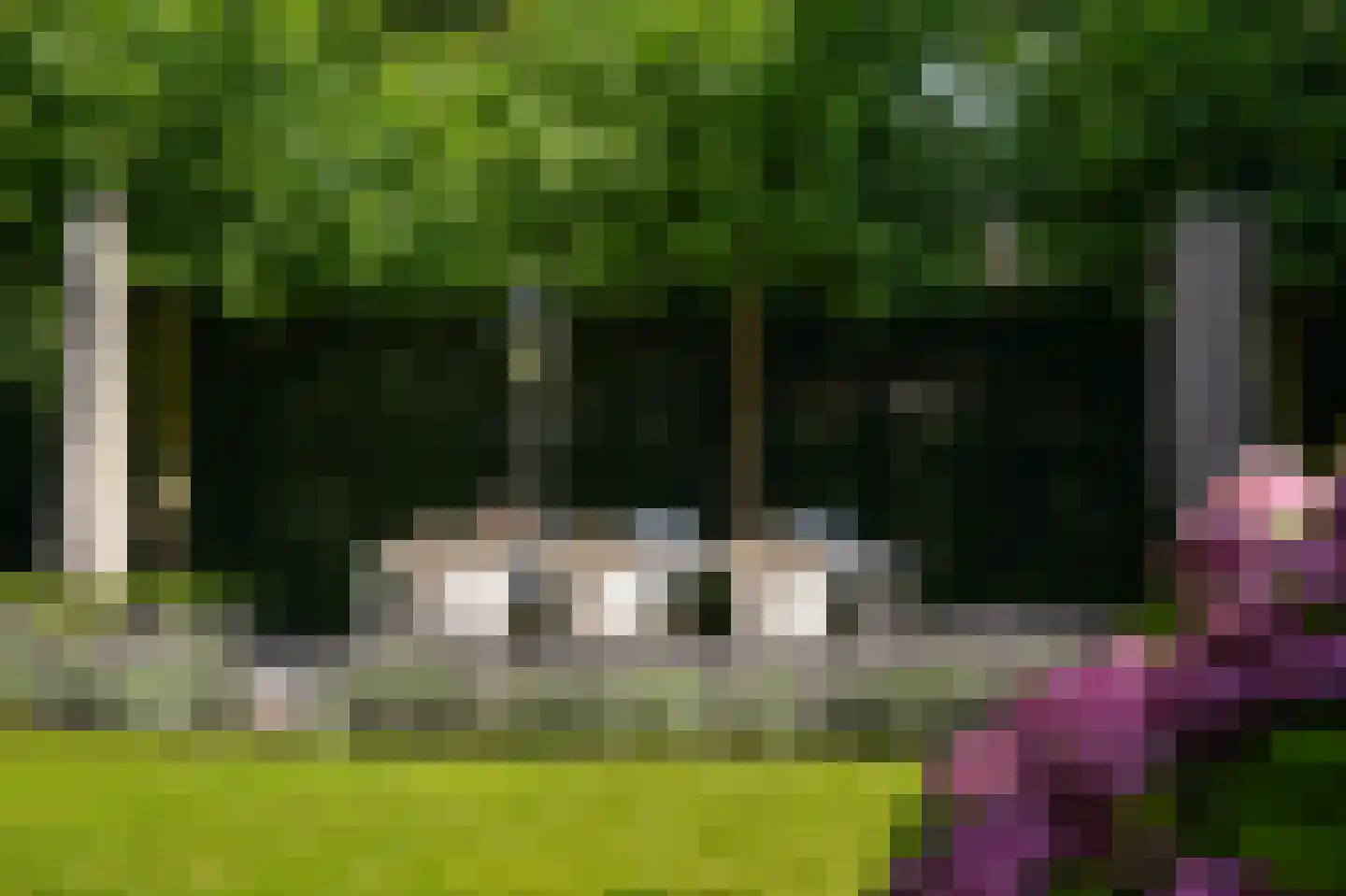 Burgemeester Meslaan 1 Tiel thumbnail 5