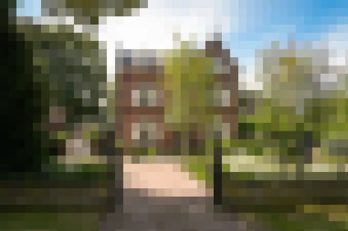 Burgemeester Meslaan 1 Tiel thumbnail 53
