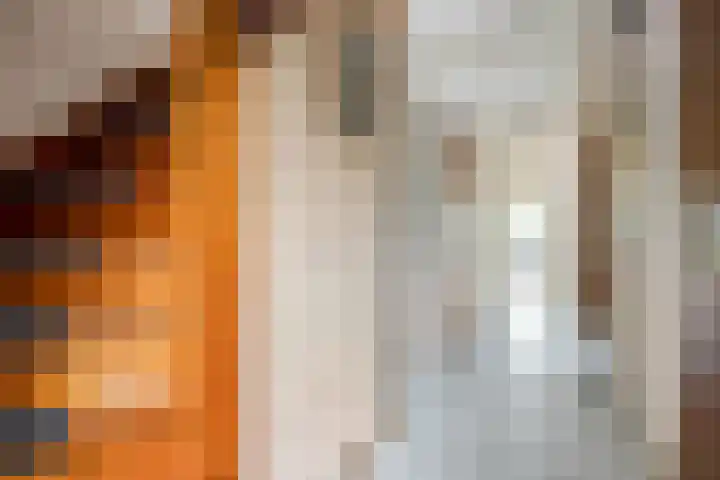 Burgemeester Meslaan 123 Tiel thumbnail 11