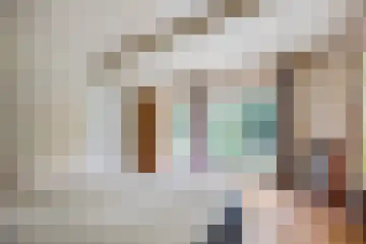 Burgemeester Meslaan 123 Tiel thumbnail 17