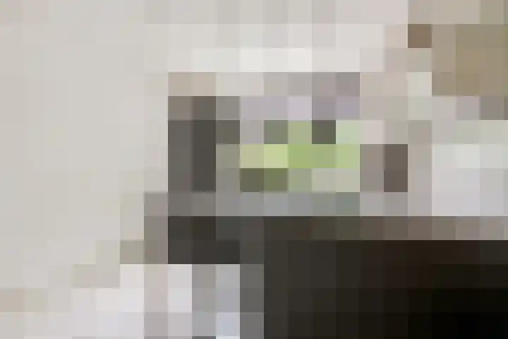 Burgemeester Meslaan 123 Tiel thumbnail 21