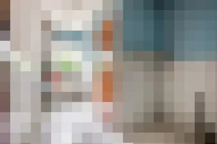 Burgemeester Meslaan 123 Tiel thumbnail 24