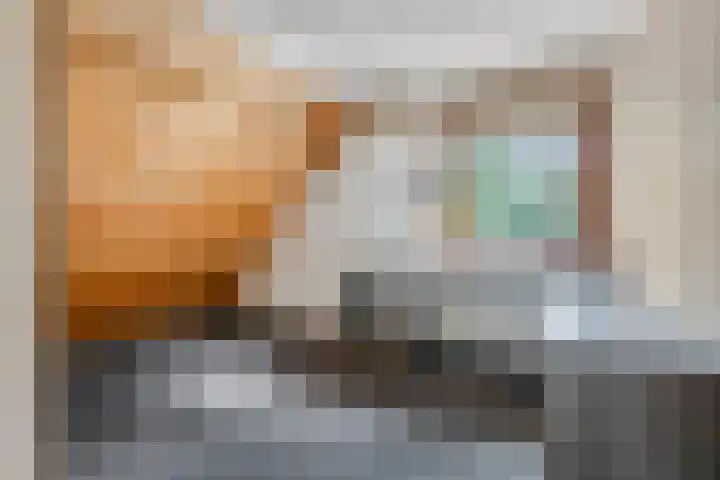 Burgemeester Meslaan 123 Tiel thumbnail 32
