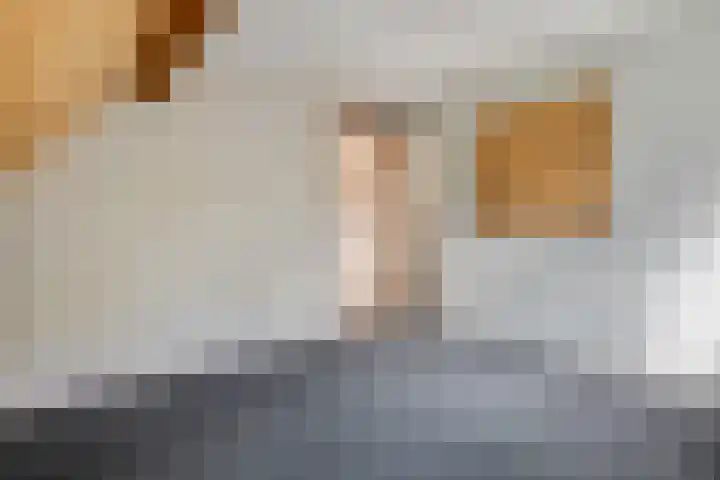 Burgemeester Meslaan 123 Tiel thumbnail 33
