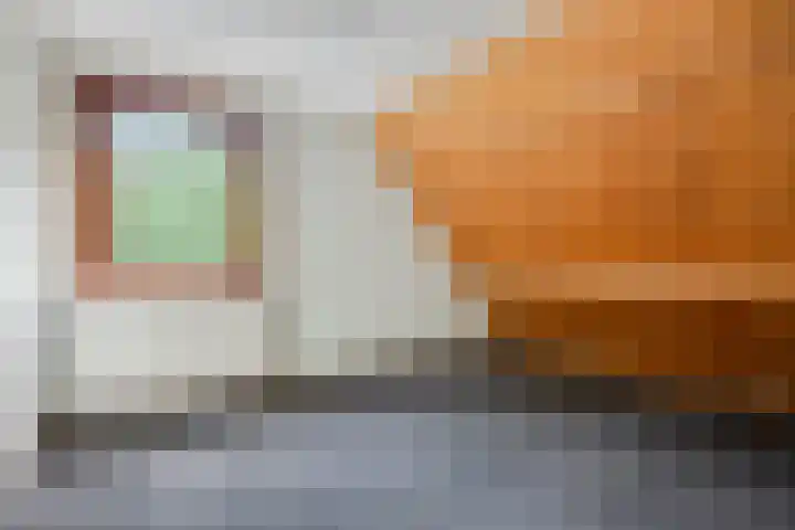 Burgemeester Meslaan 123 Tiel thumbnail 34