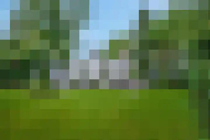 Burgemeester Meslaan 123 Tiel thumbnail 4