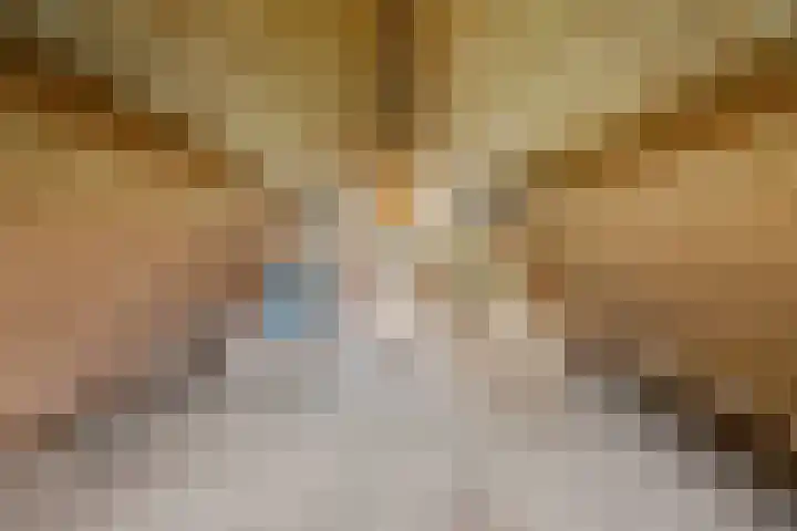 Burgemeester Meslaan 123 Tiel thumbnail 44