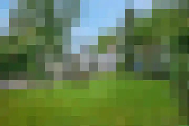 Burgemeester Meslaan 123 Tiel thumbnail 5