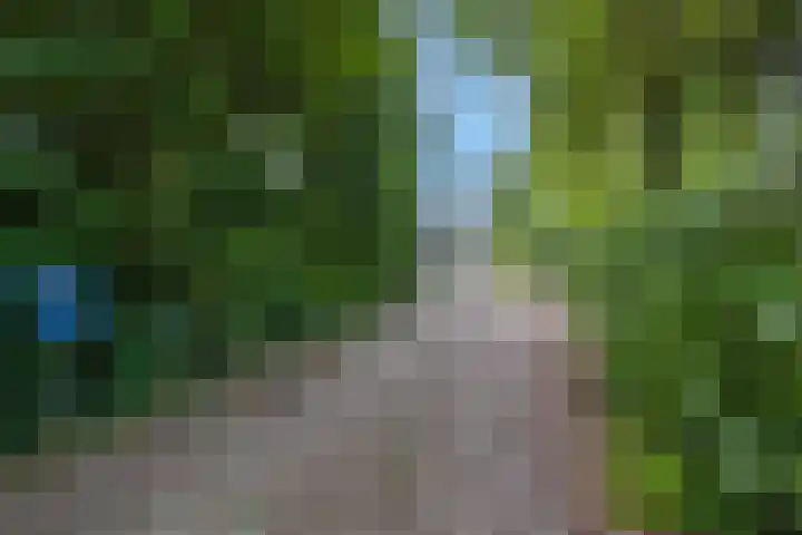 Burgemeester Meslaan 123 Tiel thumbnail 55