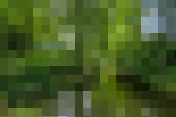 Burgemeester Meslaan 123 Tiel thumbnail 58