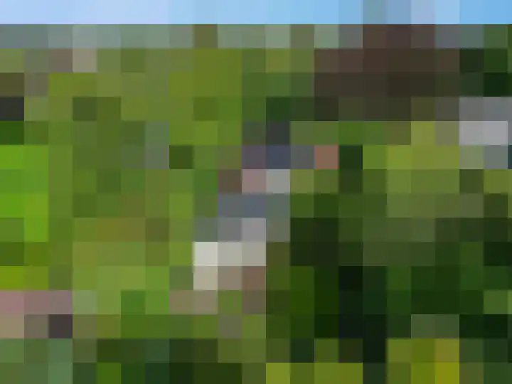 Burgemeester Meslaan 123 Tiel thumbnail 6