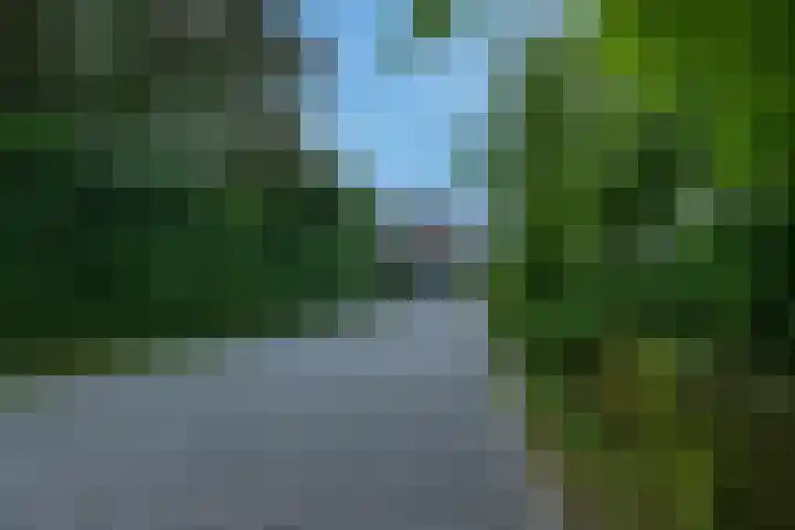 Burgemeester Meslaan 123 Tiel thumbnail 8