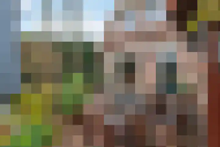 Burgemeester Meslaan 29 Tiel thumbnail 33
