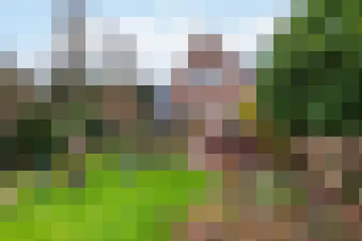 Burgemeester Meslaan 29 Tiel thumbnail 34