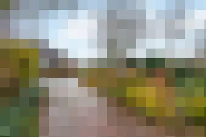 Burgemeester Meslaan 29 Tiel thumbnail 38