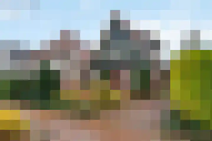 Burgemeester Meslaan 29 Tiel thumbnail 58