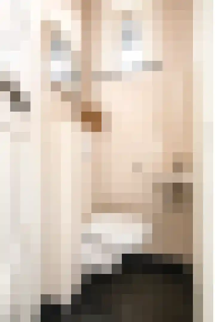 Burgemeester Meslaan 4 Tiel thumbnail 10