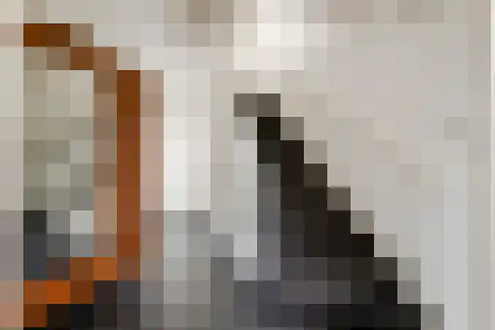 Burgemeester Meslaan 4 Tiel thumbnail 11