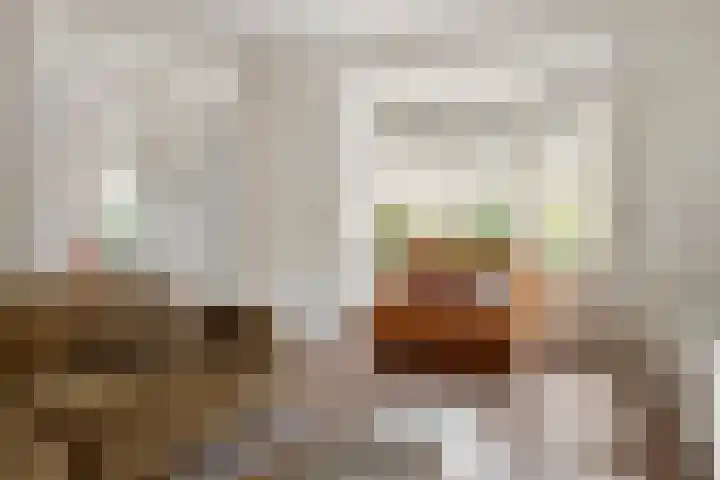 Burgemeester Meslaan 4 Tiel thumbnail 12