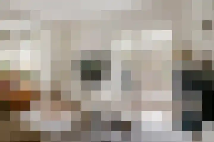 Burgemeester Meslaan 4 Tiel thumbnail 20