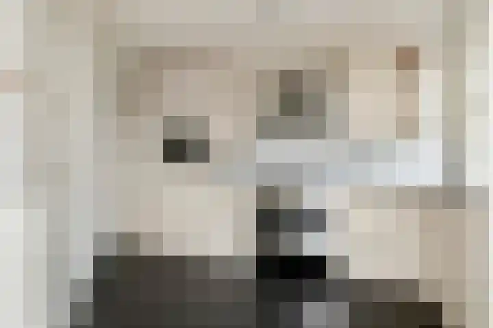 Burgemeester Meslaan 4 Tiel thumbnail 26
