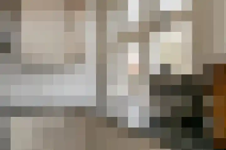 Burgemeester Meslaan 4 Tiel thumbnail 27