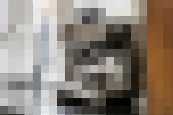 Burgemeester Meslaan 4 Tiel thumbnail 28