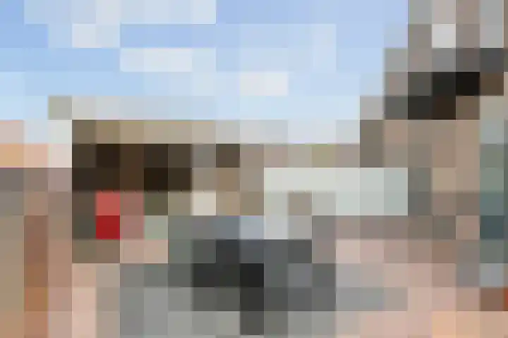 Burgemeester Meslaan 4 Tiel thumbnail 33