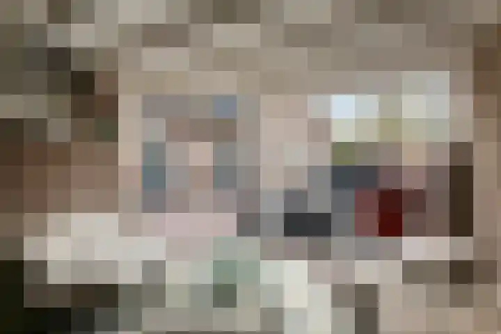 Burgemeester Meslaan 4 Tiel thumbnail 34
