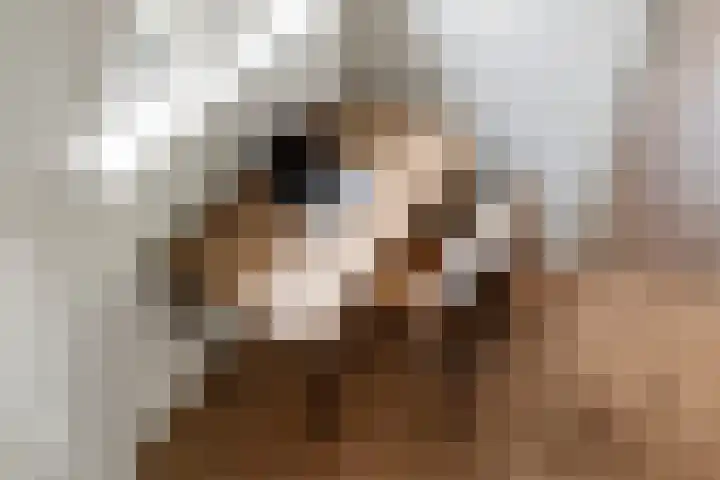 Burgemeester Meslaan 4 Tiel thumbnail 37