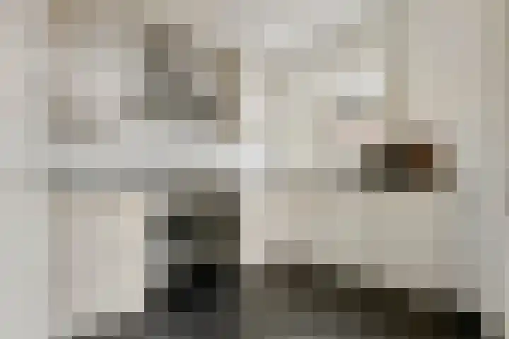 Burgemeester Meslaan 4 Tiel thumbnail 4