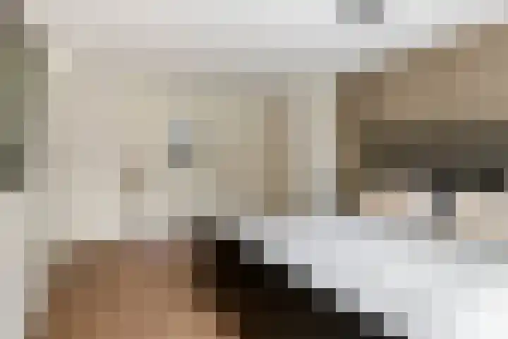 Burgemeester Meslaan 4 Tiel thumbnail 41