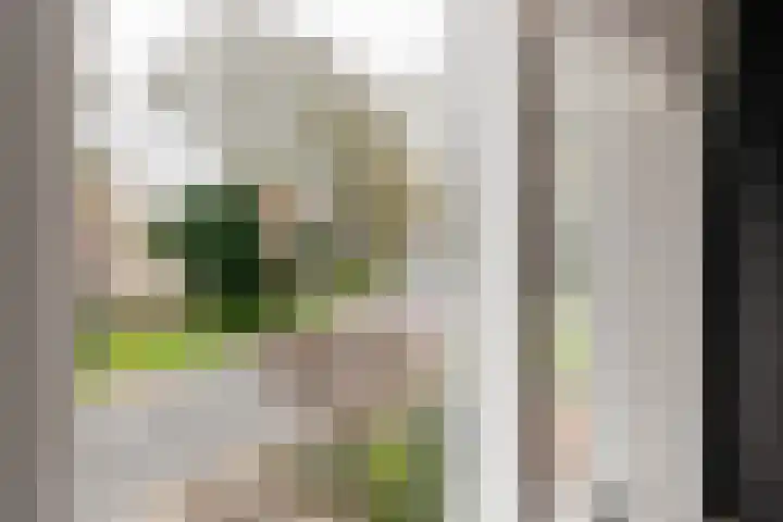Burgemeester Meslaan 4 Tiel thumbnail 43
