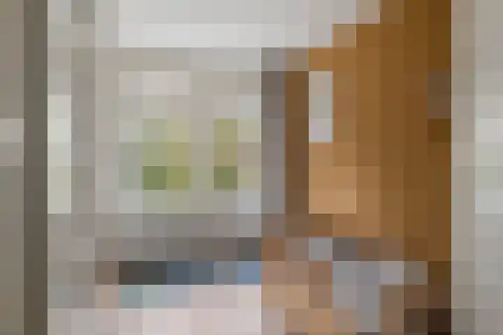 Burgemeester Meslaan 4 Tiel thumbnail 44