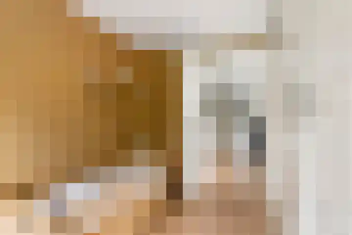 Burgemeester Meslaan 4 Tiel thumbnail 46