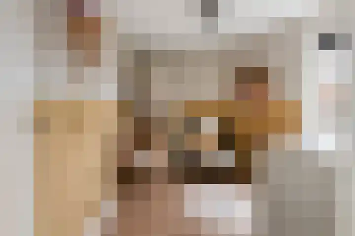 Burgemeester Meslaan 4 Tiel thumbnail 47