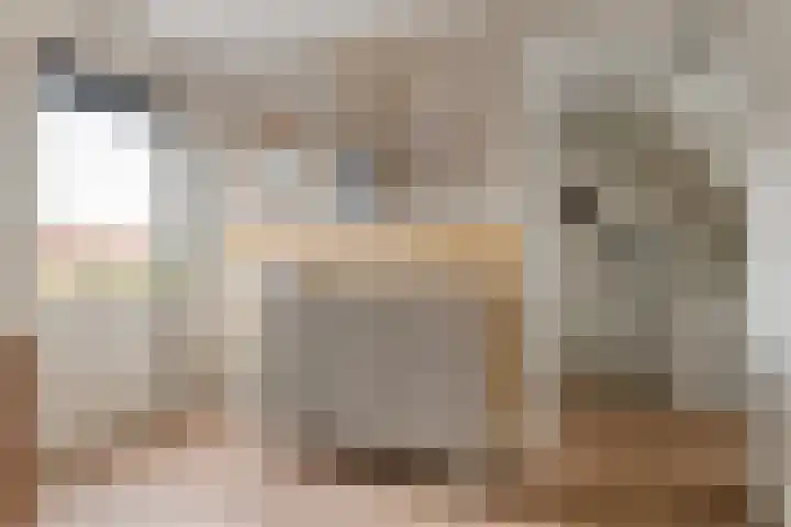 Burgemeester Meslaan 4 Tiel thumbnail 48